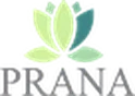 Prana Yoga